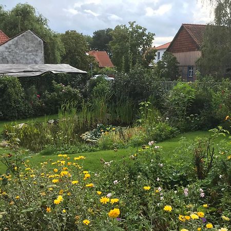 Schoene Gemuetliche Ferienwohnung Mit Kamin I Im Harz Darlingerode Dış mekan fotoğraf