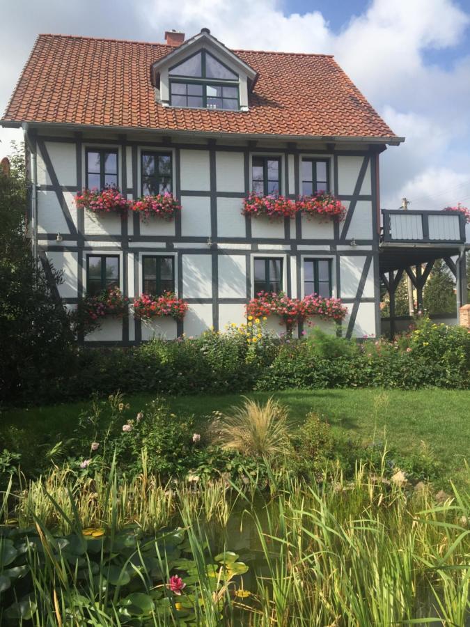 Schoene Gemuetliche Ferienwohnung Mit Kamin I Im Harz Darlingerode Dış mekan fotoğraf